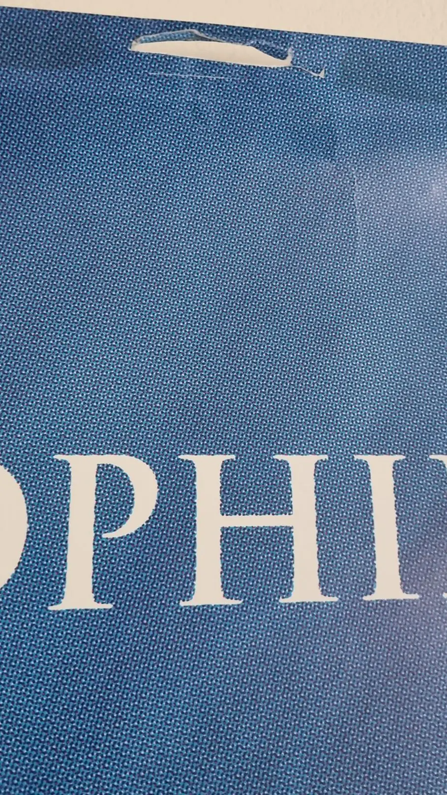 Grande affiche de cinéma FireLight de W. Nicholson Affiche de cinéma FireLight (Le lien secret) de W. Nicholson