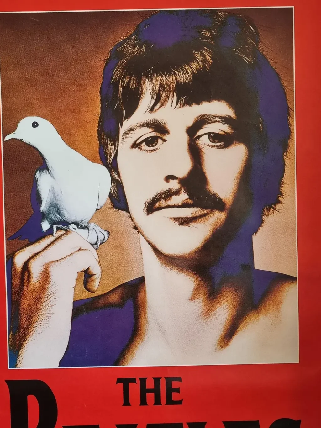 Affiche vintage des Beatles N°32 par le photographe R. Avedon