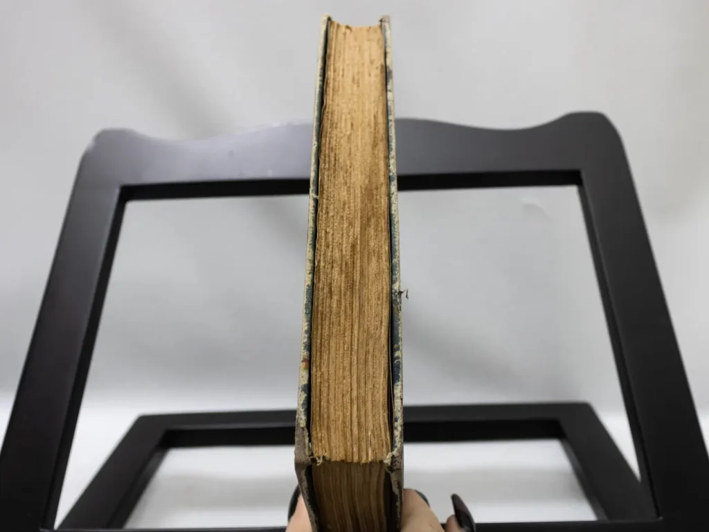 Livre Ancien Le Dauphin de Kavak de C. Pettinato, Édition 1935