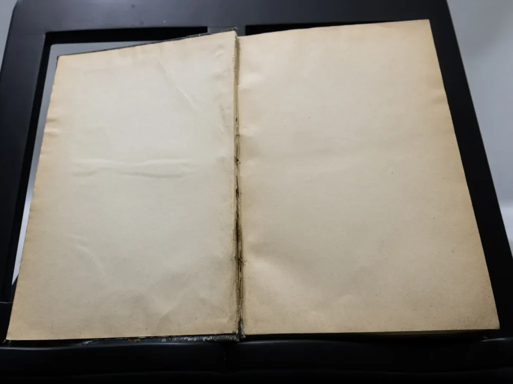 Livre Ancien Le Dauphin de Kavak de C. Pettinato, Édition 1935