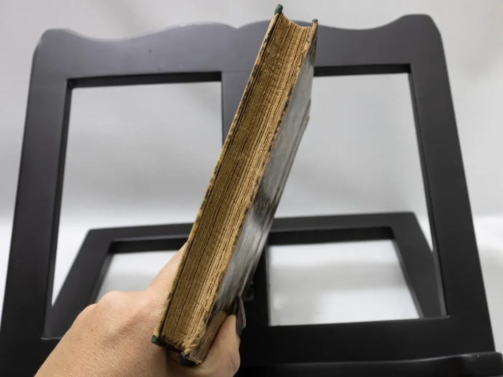 Livre Ancien Les Sœurs Rondoli de Maupassant Édition Spéciale