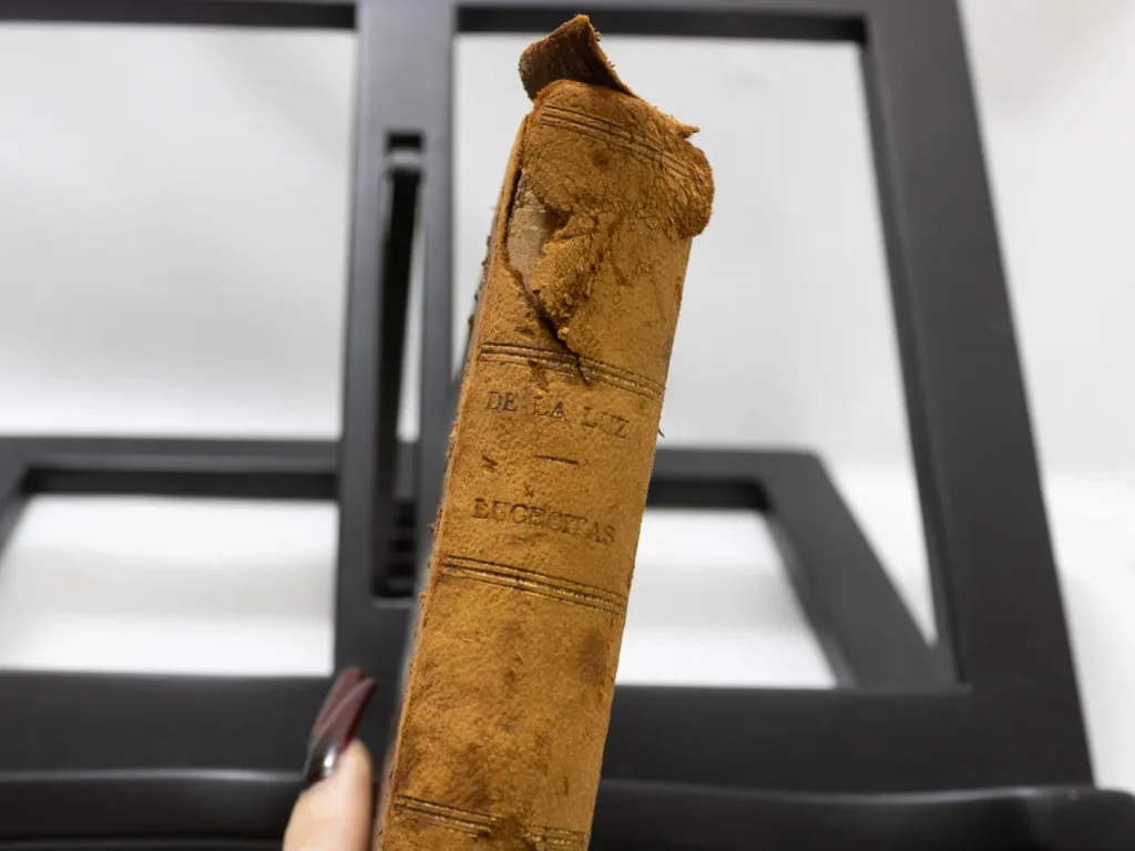 Livre Ancien 'Lucecitas' de 1893 en Espagnol, Reliure Cuir